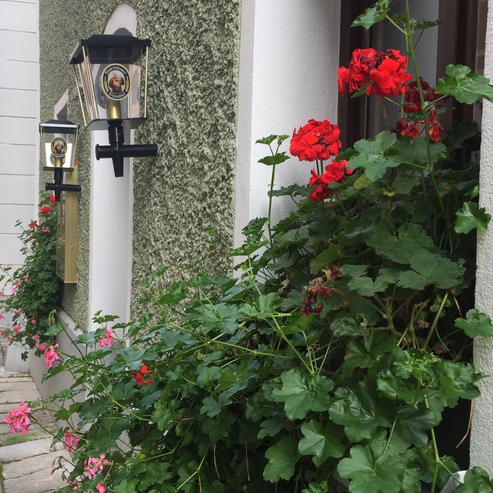 Meet your Posher, Abigail